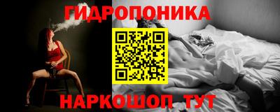 шишки Можайск