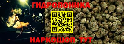 шишки Можайск