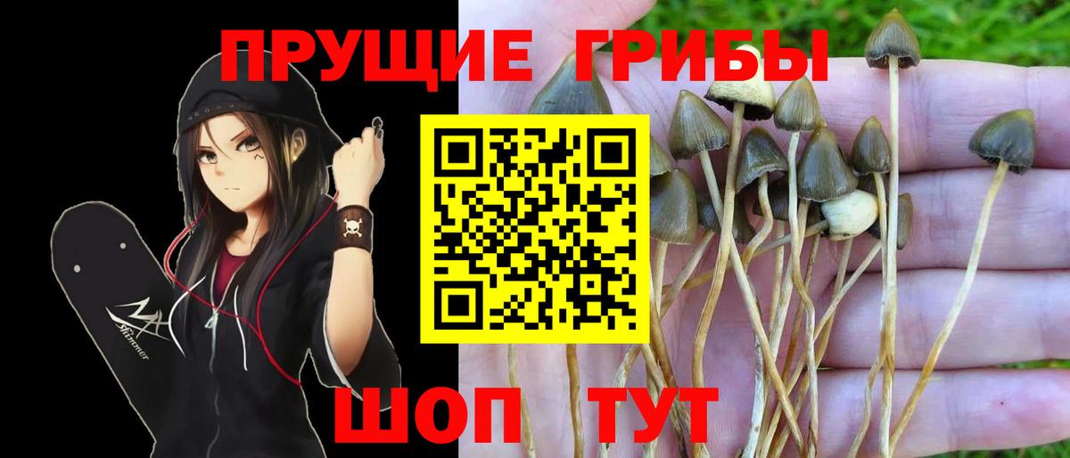 Галлюциногенные грибы Magic Shrooms  Вход с VPN  Серов 